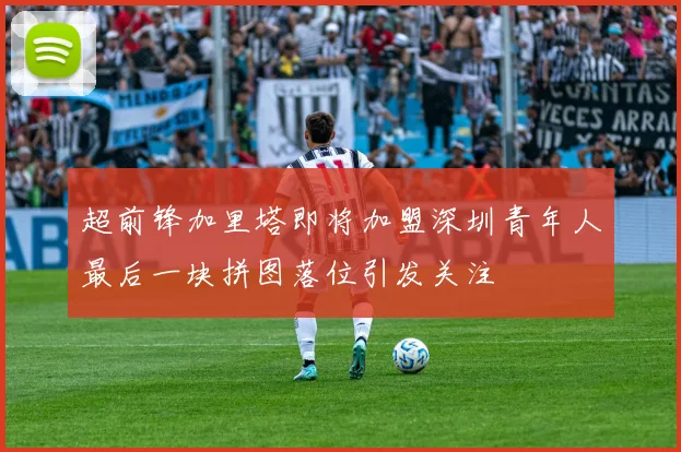 超前锋加里塔即将加盟深圳青年人最后一块拼图落位引发关注