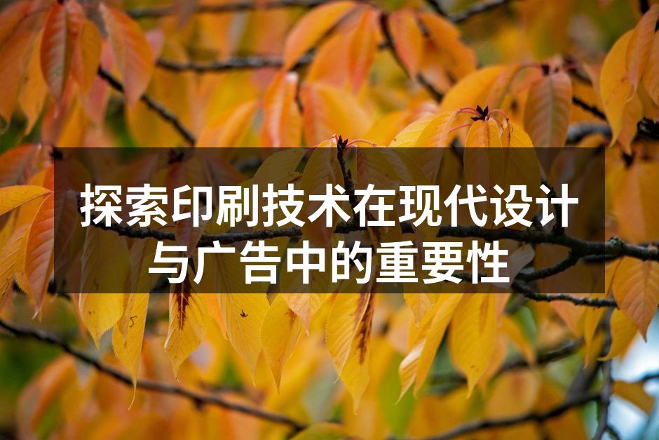 高质量的印刷作品展示